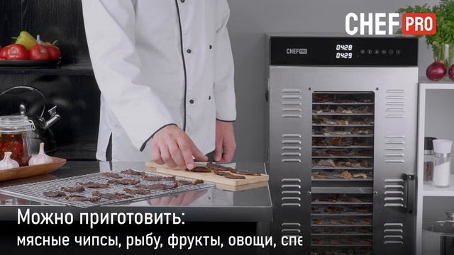 Электросушилка CHEF PRO CF-FD803A