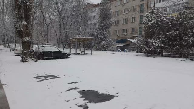 Дневная прогулка. 27.02.2026 смотреть онлайн