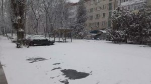 Дневная прогулка.     27.02.2026