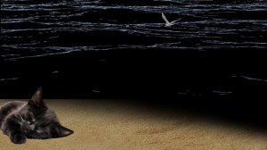 Море, чайки и песок. Звуки моря, звуки птиц