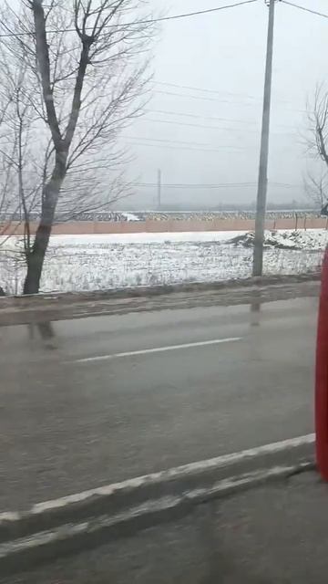 Кладбище под Харьковом