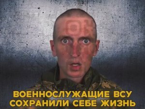 Вновь очередное сохранение жизни.