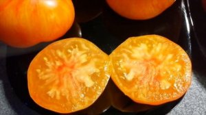 Томатомания. Мои любимые томаты