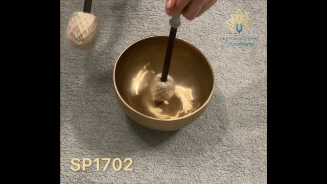 SP1702 Тибетская поющая чаша ручной работы
