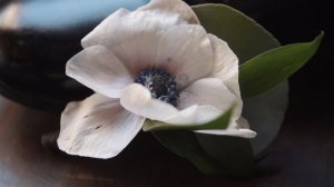 unpopular-184_1920x1080_24_yuv420p