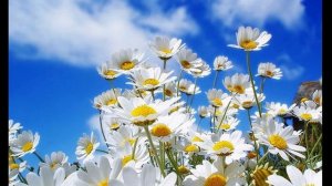 Хит недели мартовской – С Мартом 8-м девочки РАши