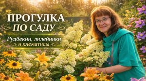 ПРОГУЛКА ПО САДУ | Рудбекии, лилейники и клематисы