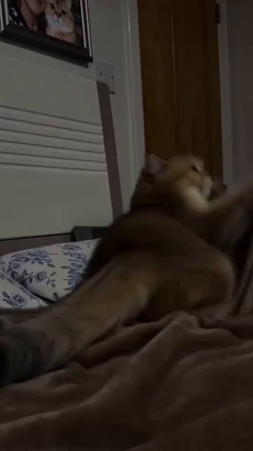 Когда ты из компании-конкурента, но тайком смотришь подкасты SPK GROUP