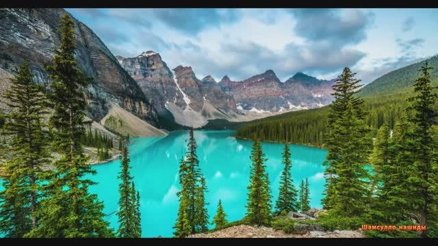 Коран сура Аль-Анам чтец Мухаммад аль-Факих