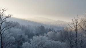 Падающий снег релакс