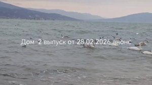 Дом-2 от 28.02.2026 анонс выпуска, что будет в эфире