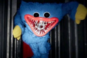 Зебравагги бегает на беговой дорожке