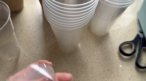 Рассада подросла! Пикировка  томатов и болгарского перца