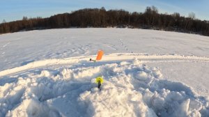 Глухозимье - последние дни февраля! (1)