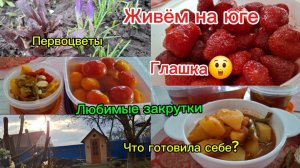 24-02-2026 Переезд из Сибири на юг/Живём на юге/Видео за неделю/Пересадка/Прополка/Готовка/ Юг такой