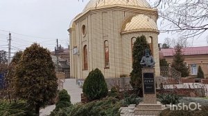 27 февраля в Ейске лёд -2☀️ Самец... Мысли о жизни...