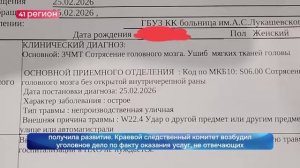 ПАДЕНИЕМ НАЛЕДИ НА ЮНУЮ ЖИТЕЛЬНИЦУ КАМЧАТКИ ЗАИНТЕРЕСОВАЛИСЬ НА ФЕДЕРАЛЬНОМ УРОВНЕ•НОВОСТИ КАМЧАТКИ