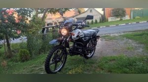 АЛЬФА ФОРЕСТЕР РС11 ЧАСТЬ 1