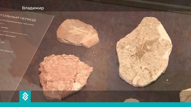 В Музее природы ВСМЗ открылась новая выставка