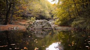 Пекин в шоке! Россия не взяла Китай в долю для строительства железной дороги → 👤 #ИНФОРМАЦИОННЫЙ_С