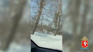 В Екатеринбурге за кражи иномарок для последующей перепродажи задержаны бизнесмен и его подчинённый