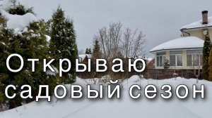 Обзор САДА. Зима’25-26. Растения под тоннами снега. Хвойные, кустарники, деревья