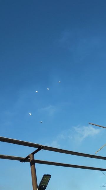 VID_20260227_095107.mp4