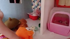 влог со сквишами собаками 😋🥳