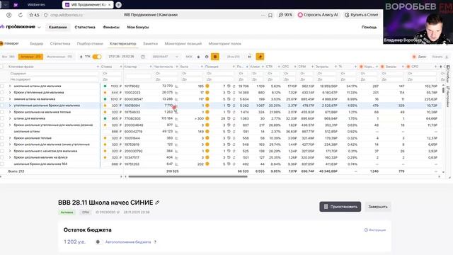 Владимир Воробьев. Разборы рекламных кабинетов WB. Внутренняя реклама Wildberries