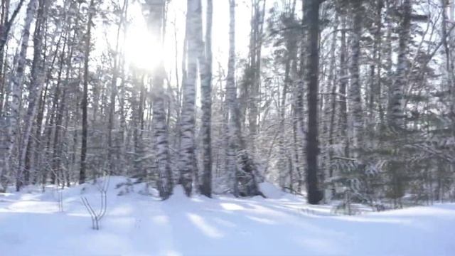 Свои люди – Метелица смотреть онлайн