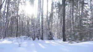 Свои люди – Метелица