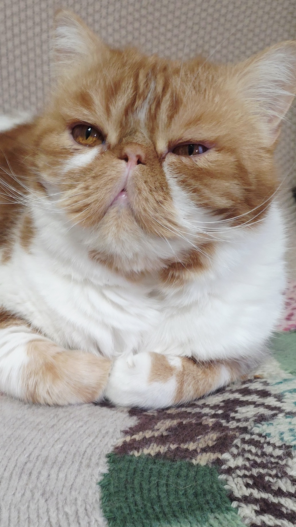 #тунисское вязание #тунисскийкрючок #плед #носочнаяпряжа