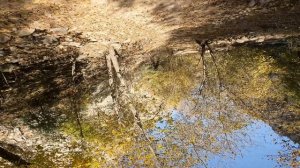 15.10.2022 - Поход вдоль реки Акбулак