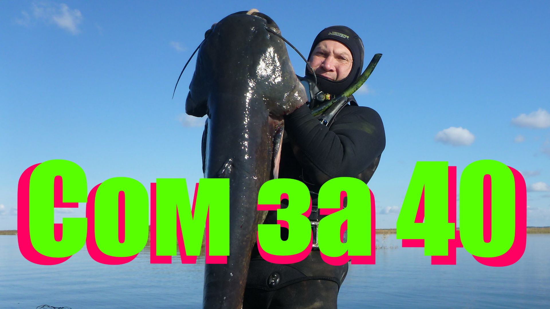 Трофейный сом. #Подводная охота смотреть онлайн