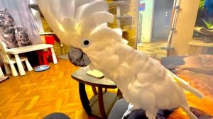 ТИШИНА! Я осталась с Кешей одна и хочу посмотреть КАК он будет СЕБЯ ВЕСТИ без конкурентов?