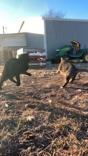 Вот это трюк