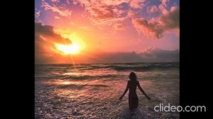 Чайка Любовь