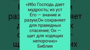 YouCut_20260227_014121818.mp4