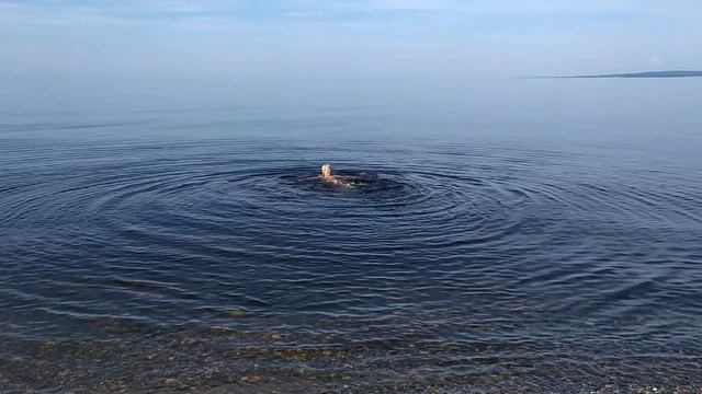 На Байкале-август 2025.mp4