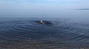 На Байкале-август 2025.mp4