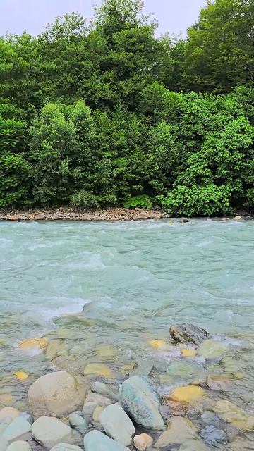 Река Мзымта в Краснодарском крае