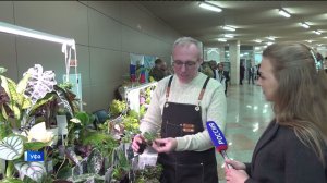 Цифровая торговля и 175 млн рублей на поддержку СНТ: как в Уфе прошел форум «СМАРТ-садовод»