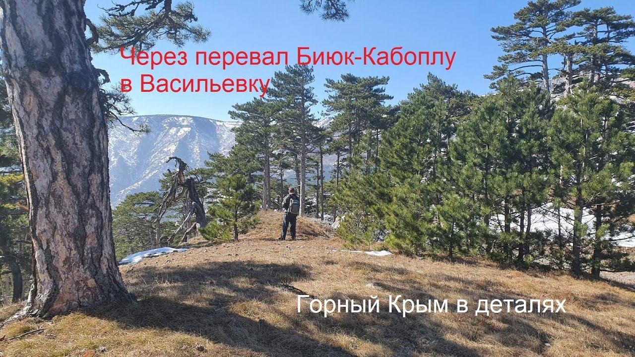 С Джунын-Коша в Васильевку