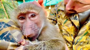 Манечка не признает не только Дениса, Влада, но и доктора Василия, она остается МАМИНОЙ ДЕВОЧКОЙ!