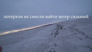 Охота на зайца и лису. Сезон 2024-2025 № 220