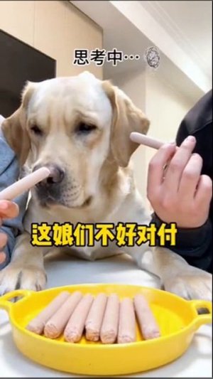 Правельный выбор 😊