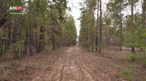 Работа по лесовосстановлению