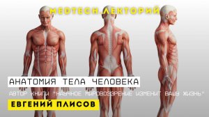 Лекция | Анатомия тела человека | Евгений Плисов