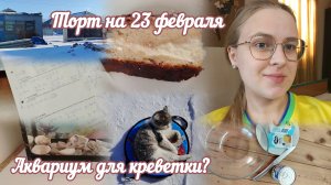 VLOG Торт на 23 февраля🍰 Аквариум для креветки?🍤