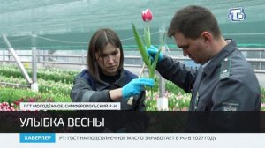В Крыму проводят проверку тюльпанов перед 8 марта